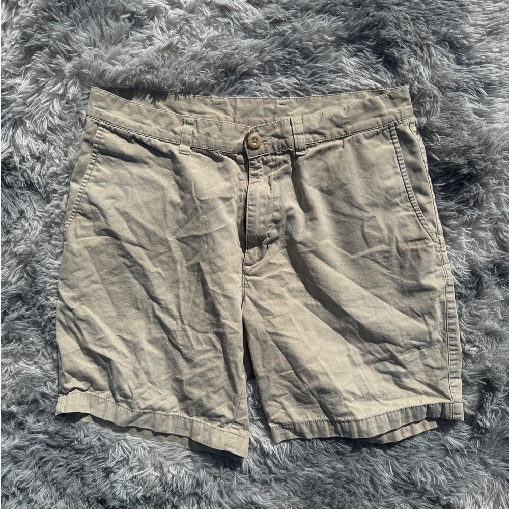 Patagonia Men's Beige Flat Front Shorts